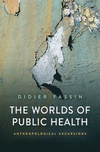 bokomslag Worlds of Public Health