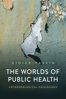 bokomslag Worlds of Public Health