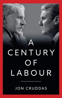 bokomslag A Century of Labour