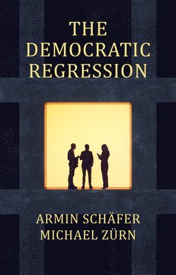 Armin Schäfer, Michael Zürn - Democratic Regression, Häftad