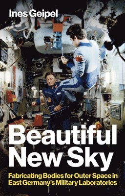 Ines Geipel - Beautiful New Sky, Inbunden