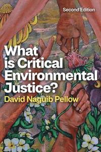 bokomslag What is Critical Environmental Justice?