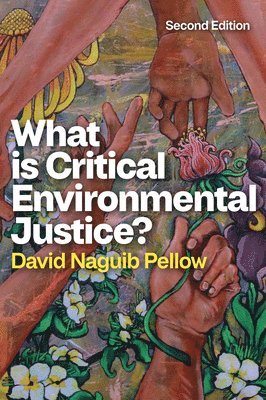 bokomslag What is Critical Environmental Justice?