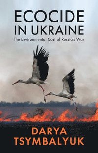 bokomslag Ecocide in Ukraine