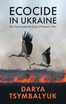 bokomslag Ecocide in Ukraine