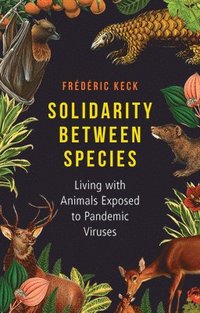 bokomslag Solidarity Between Species