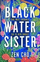 bokomslag Black Water Sister