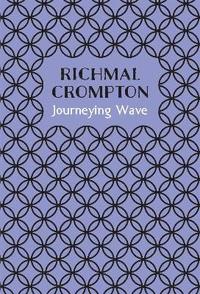bokomslag Journeying Wave