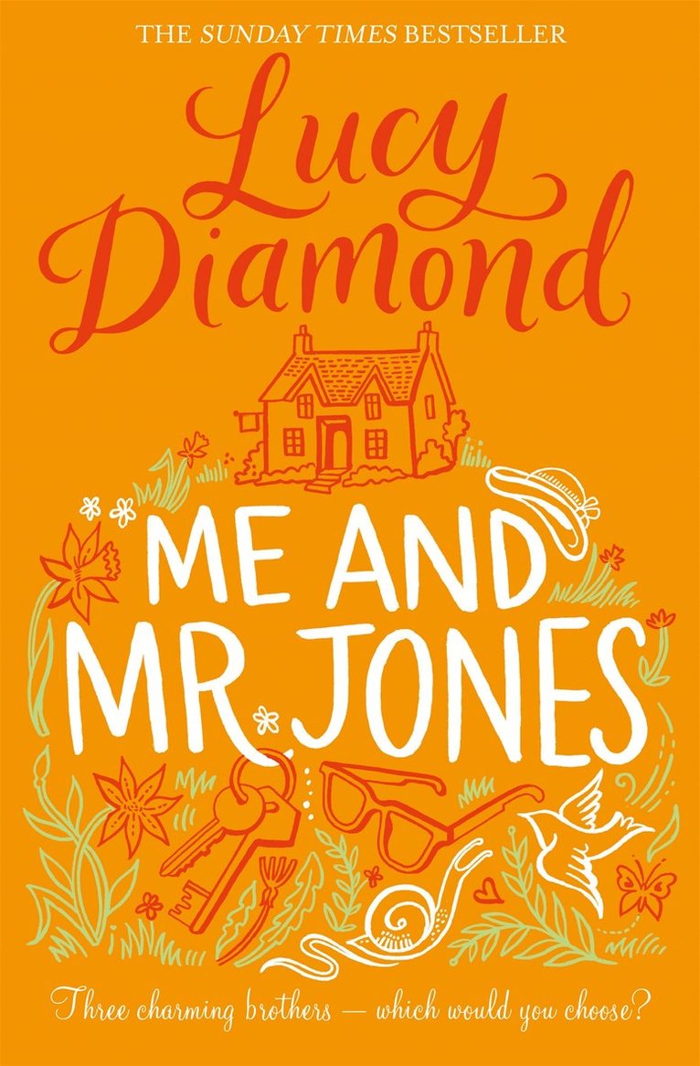 Lucy Diamond - Me and Mr Jones, Häftad