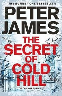 bokomslag The Secret of Cold Hill
