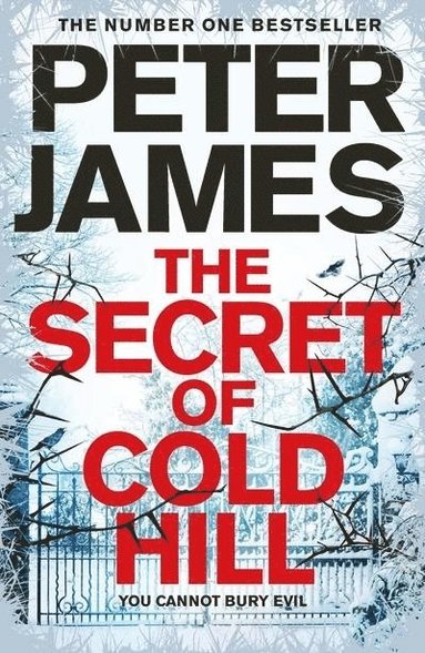 bokomslag Secret Of Cold Hill