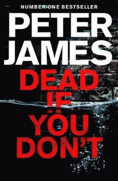 Peter James - Dead If You Don't, Häftad