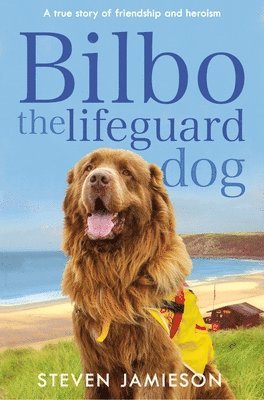 Bilbo the Lifeguard Dog 1