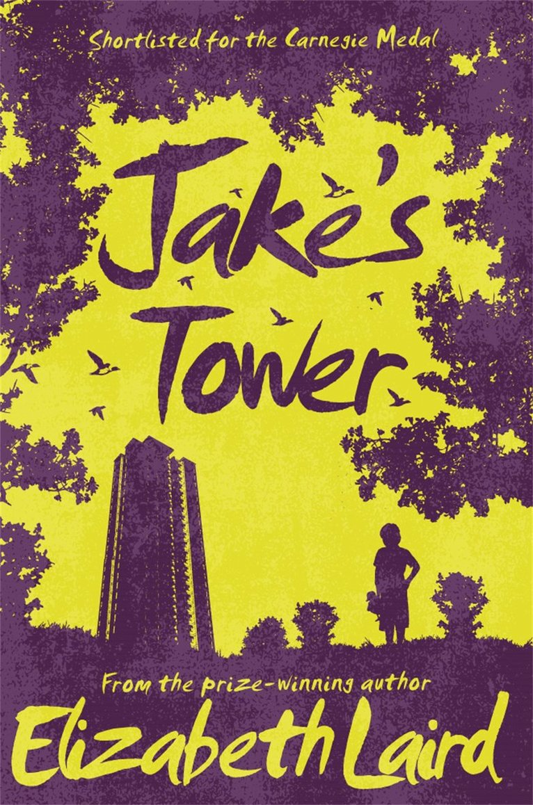 Elizabeth Laird - Jake's Tower, Häftad