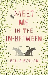 bokomslag Meet Me in the In-Between