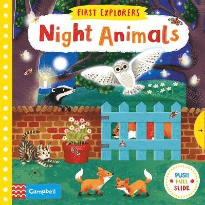 Night Animals 1