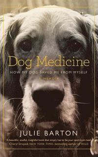 bokomslag Dog Medicine