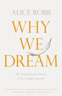 bokomslag Why We Dream: The Science, Creativity and Transformative Power of Dreams