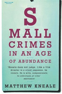 Small Crimes in an Age of Abundance 1