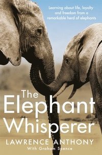 bokomslag Elephant whisperer - learning about life, loyalty and freedom from a remark