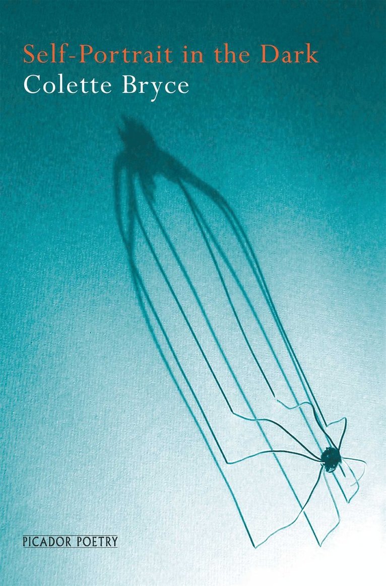 Colette Bryce - Self-Portrait in the Dark, Häftad