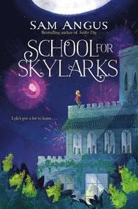 bokomslag School for Skylarks