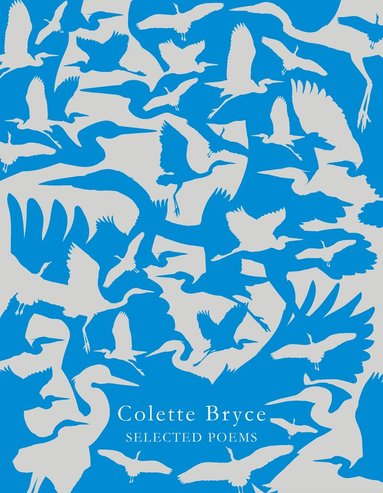 Colette Bryce - Selected Poems, Häftad