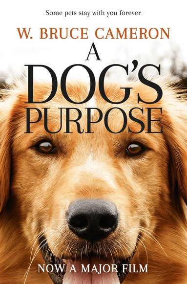 W. Bruce Cameron - Dog's Purpose, Häftad