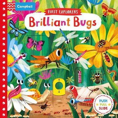 Campbell Books - Brilliant Bugs, Kartonnage