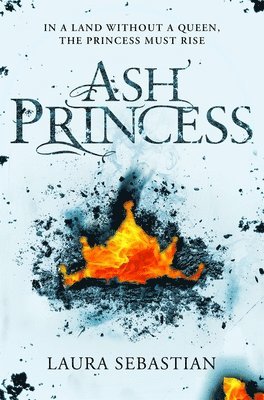 bokomslag Ash Princess