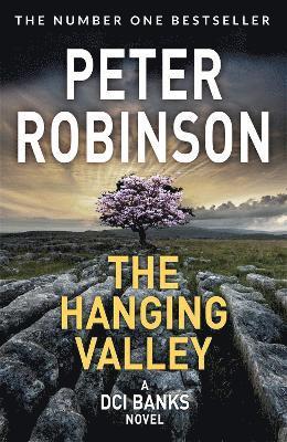 bokomslag The Hanging Valley
