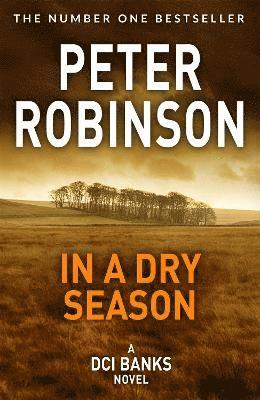 bokomslag In A Dry Season