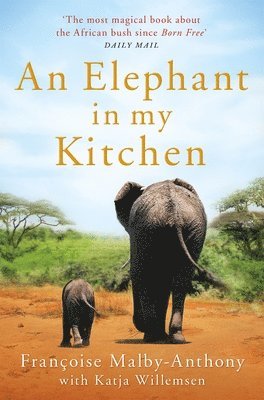 An Elephant in My Kitchen 1