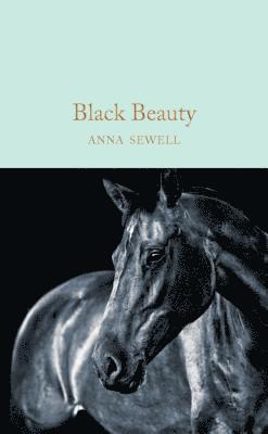 bokomslag Black Beauty