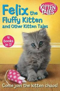 bokomslag Felix the Fluffy Kitten and Other Kitten Tales