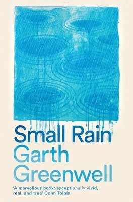 Small Rain 1