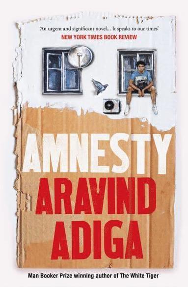bokomslag Amnesty