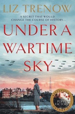 Under a Wartime Sky 1