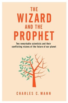 bokomslag The Wizard and the Prophet