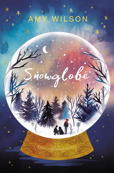 Amy Wilson - Snowglobe, Häftad
