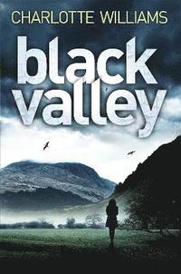 bokomslag Black Valley