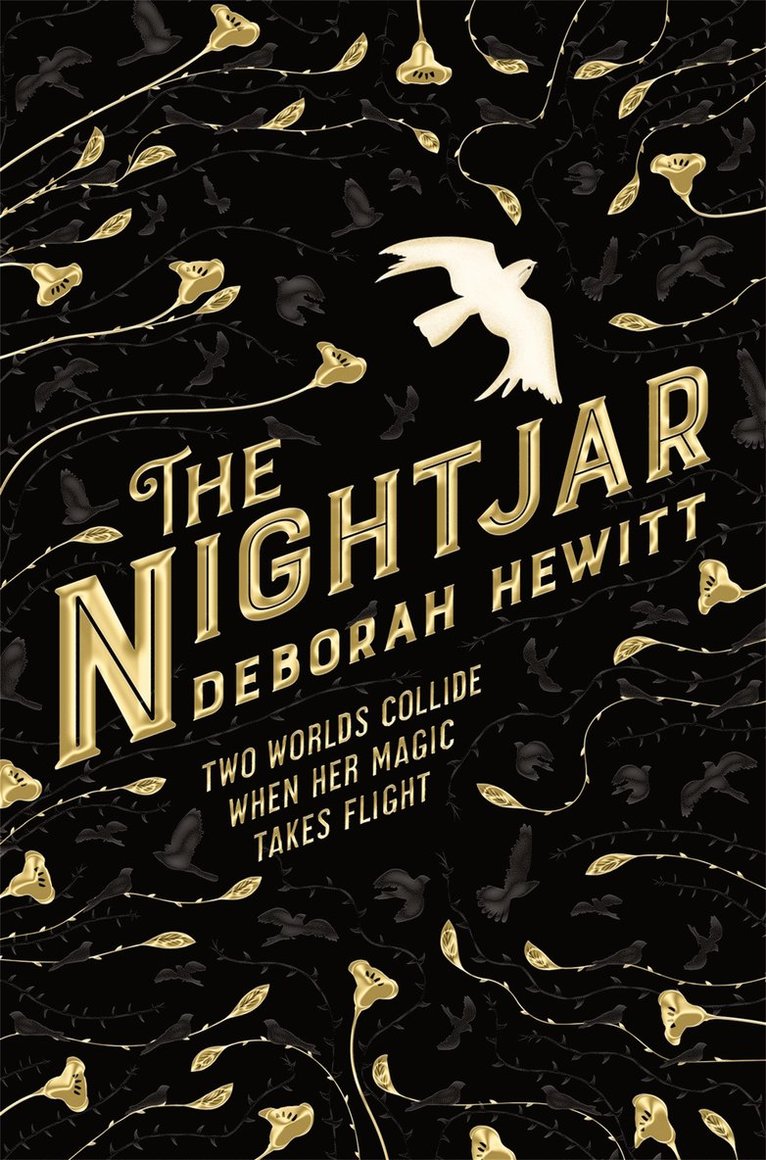 Deborah Hewitt - Nightjar, Häftad
