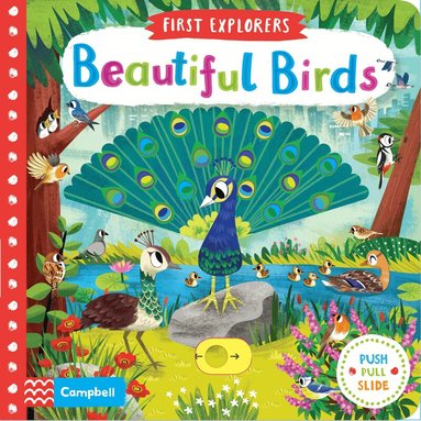 Campbell Books - Beautiful Birds, Kartonnage