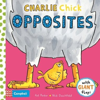 bokomslag Charlie Chick Opposites