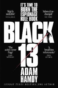 bokomslag Black 13