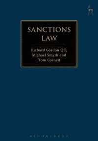 bokomslag Sanctions Law