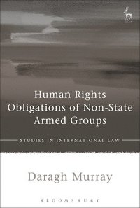 bokomslag Human Rights Obligations of Non-State Armed Groups