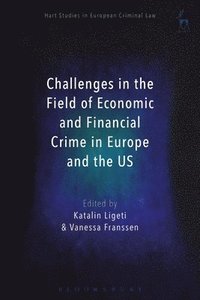 bokomslag Challenges in the Field of Economic and Financial Crime in Europe and the US