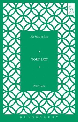 bokomslag Key Ideas in Tort Law