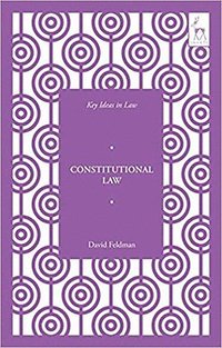 bokomslag Key Ideas in Constitutional Law